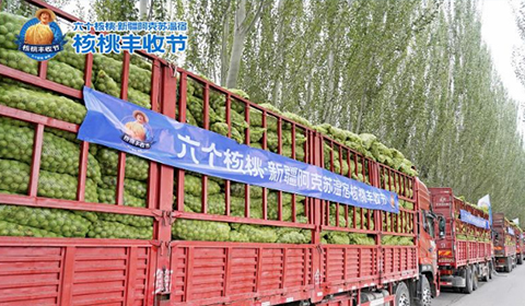 首页- AG8亚洲游集团中国官方网站