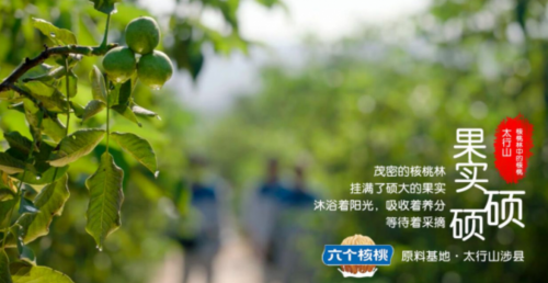 首页- AG8亚洲游集团中国官方网站