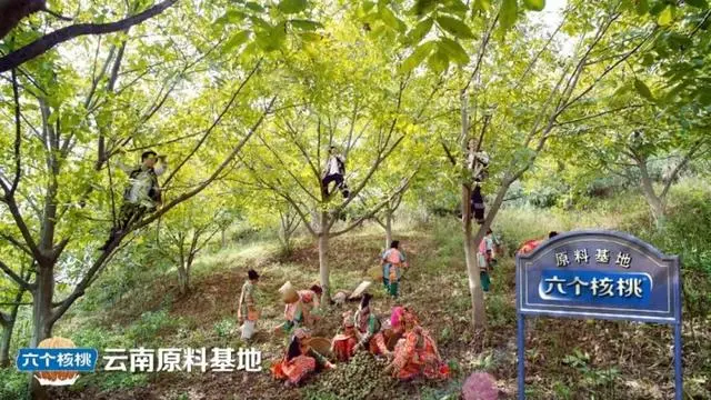 首页- AG8亚洲游集团中国官方网站